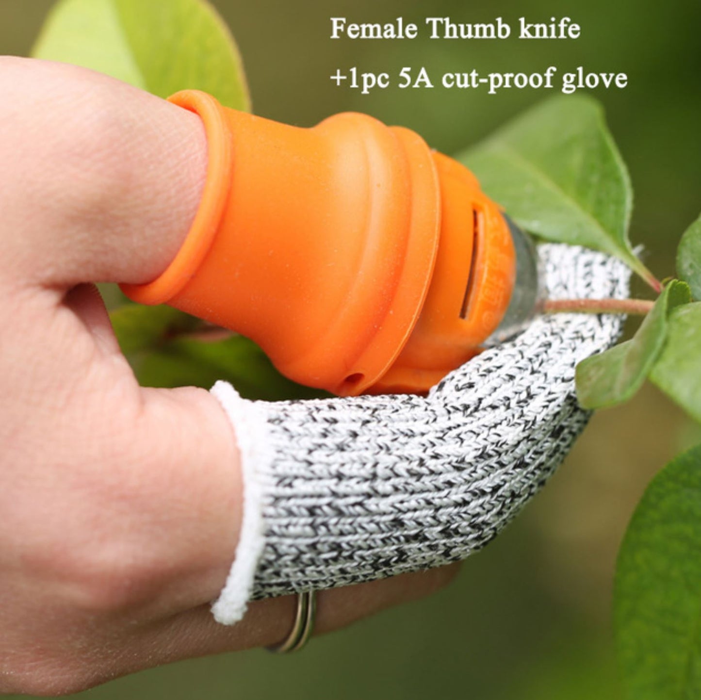 THUMB KNIFE