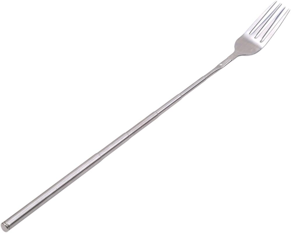 Extendable Telescopic Fork