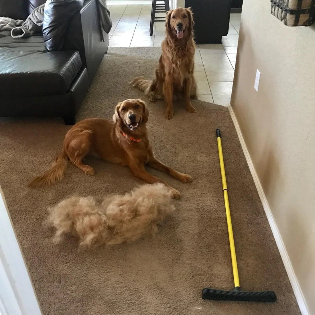 Pet Hair Removal Broom